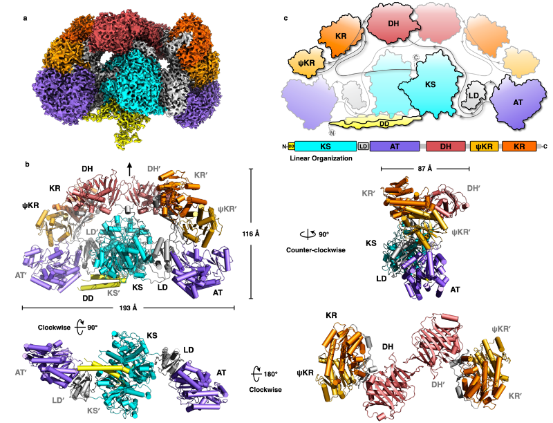 20230313_131815_882.png 图片1.png