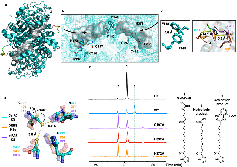 20230313_132007_505.png 图片3.png
