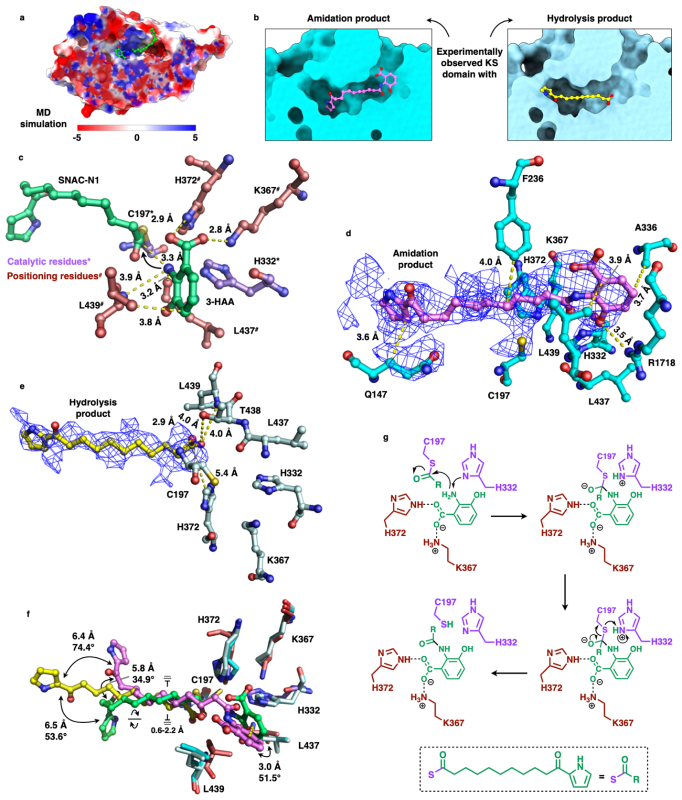 20230313_132054_733.png 图片4.png