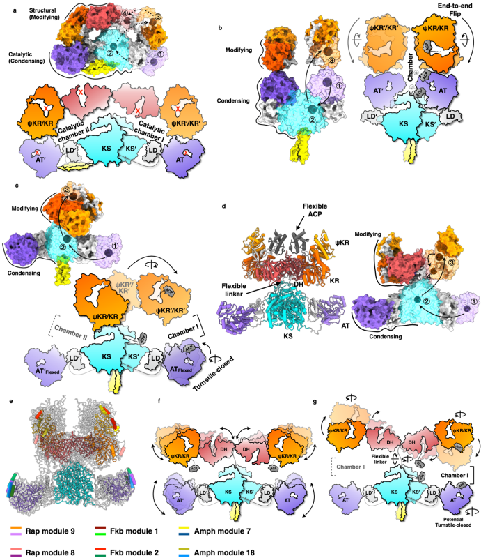 20230313_132547_315.png 图片5.png