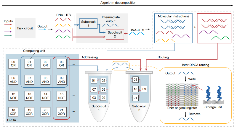 20230914_090511_109.png NA.png