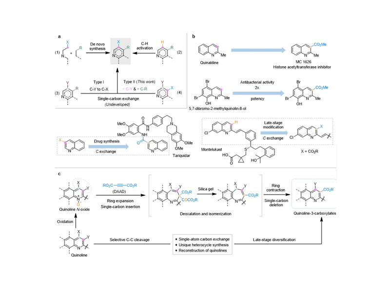 开云app官网入口下载苹果版
吴华课题组JACS发文：喹啉骨架上的碳原子置换